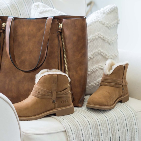 ugg pasqual boot chestnut